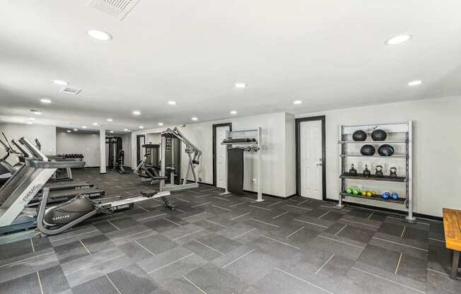 A spacious gym with treadmills, weights, and exercise equipment.