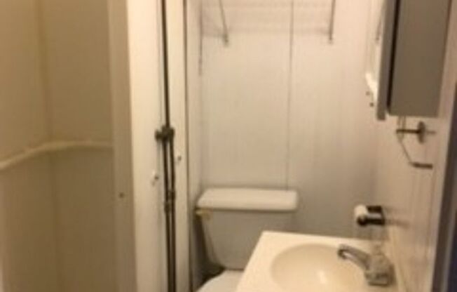 1 bed, 1 bath, $1,075, Unit South