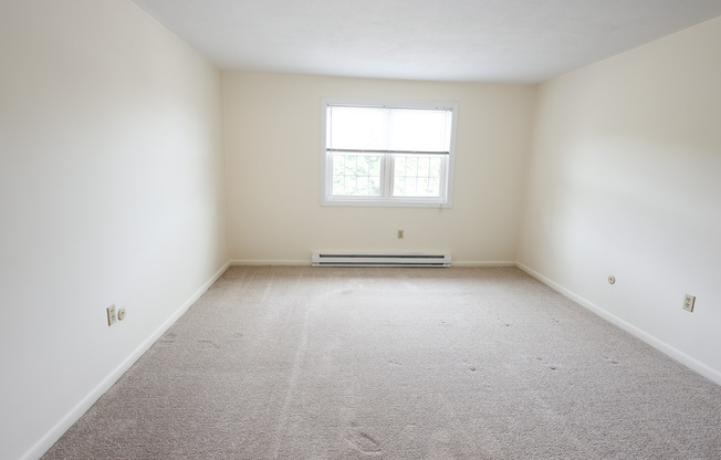 99 ELMWOOD PARK