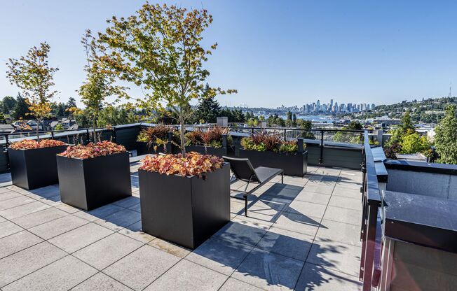 Studio, 1 bath, 314 sqft, $1,471, Unit 219