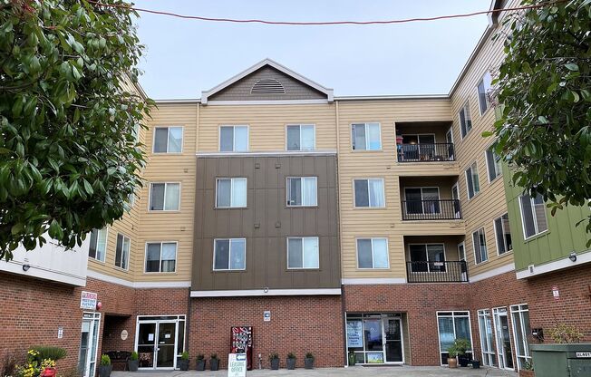 Studio, 1 bath, 462 sqft, $1,395, Unit 202