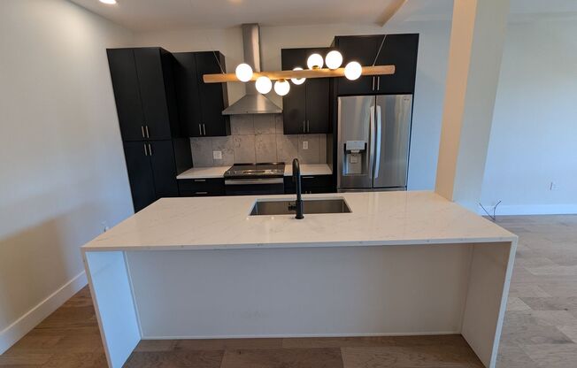 2 Bedroom 2 Bathroom Condo at the Lawrenceville Lofts