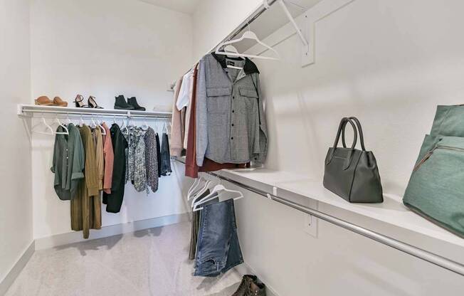 Oversized closets with built-in storage and shelving in some homes*