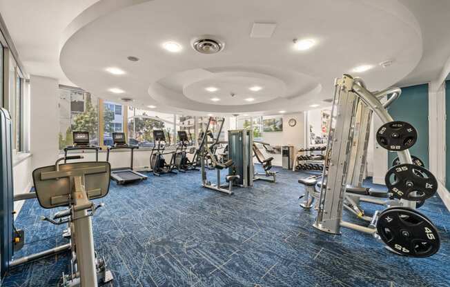 a gym with cardio equipment and weights on a blue rug