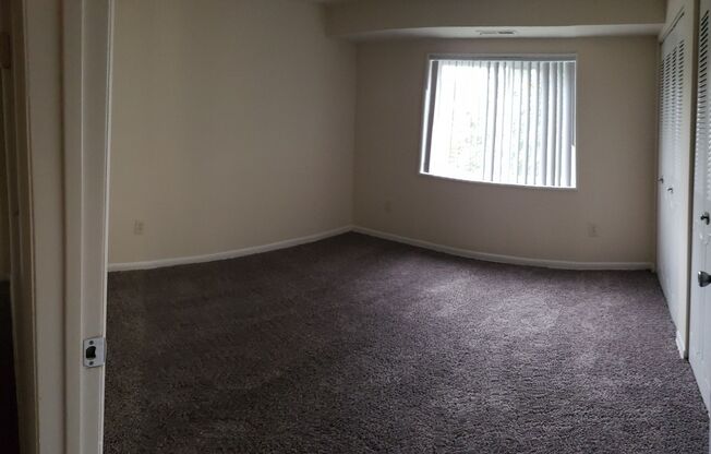 3 beds, 2 baths, 1,300 sqft, $2,400, Unit 3351 #204