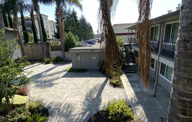 a courtyard with palm trees and a hot tub