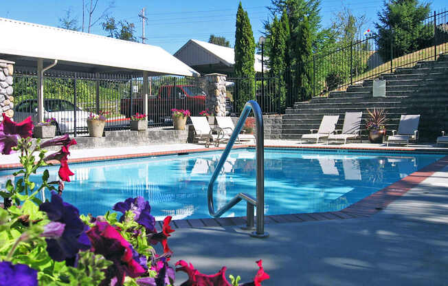 A pool surrounded by flowers and a metal fence.