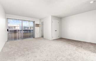 A room with a carpeted floor, a door, and a window with blinds.