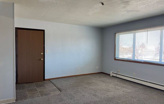 1 bed, 1 bath, 465 sqft, $625, Unit 1119-312