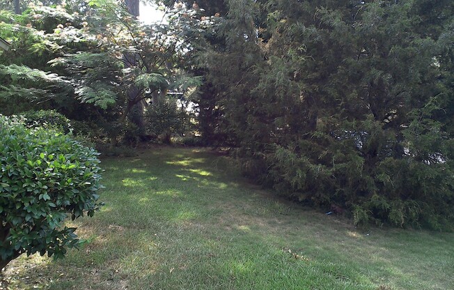**UPCOMING**East Columbus 3 bedroom/1 bathroom home for rent***