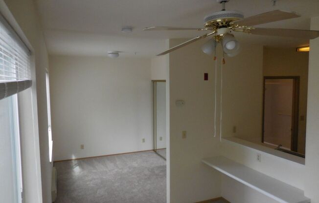 Studio, 1 bath, 462 sqft, $1,295, Unit 305