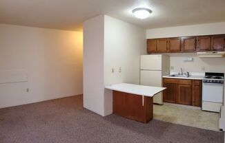 South View Apartments LLC