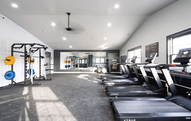 1 bed, 1 bath, 800 sqft, $1,199, Unit C203