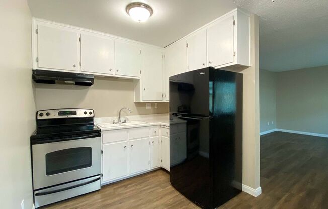 Imperial Beach Palms