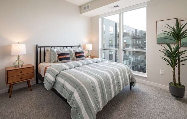 A bedroom with a large bed and a potted plant.