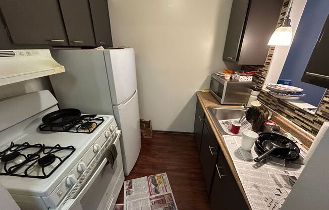 1 bed, 1 bath, $995, Unit 213