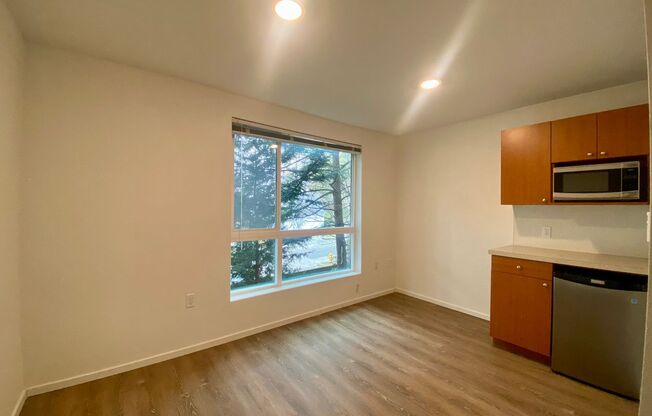 Studio, 1 bath, 189 sqft, $1,325, Unit 4206