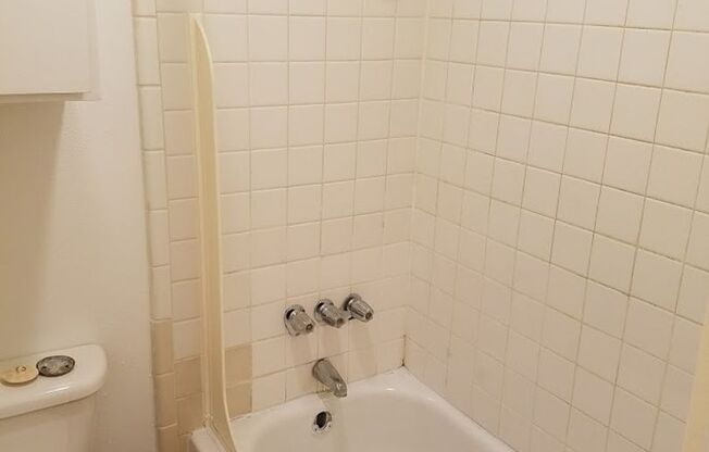 Studio, 1 bath, 450 sqft, $710, Unit *505