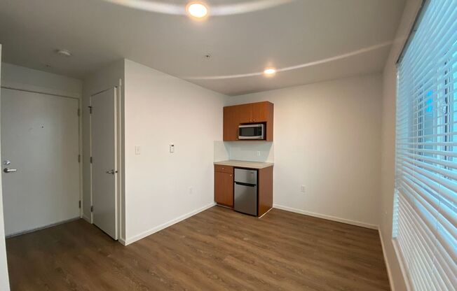 Studio, 1 bath, 170 sqft, $1,199, Unit 5305