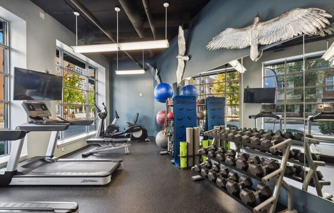 a gym with weights and a treadmill