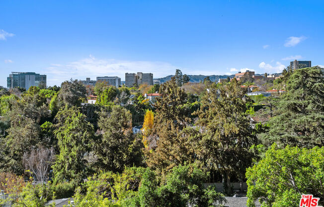 2 beds, 2 baths, 1,088 sqft, $4,400, Unit 904