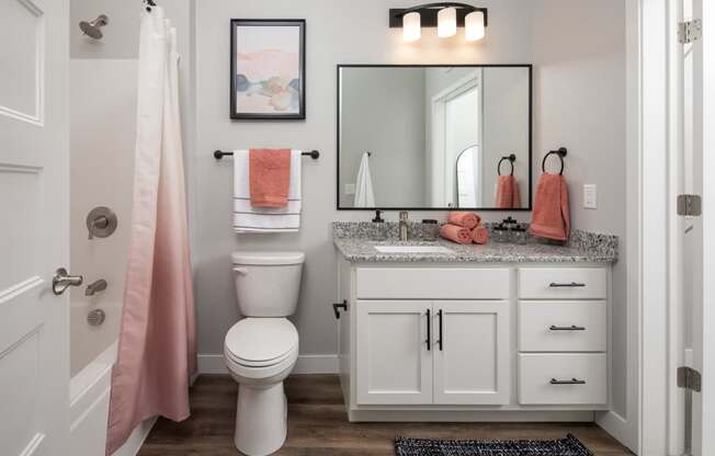A bathroom with a toilet, sink, and mirror.