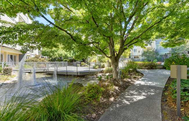 A mature shade tree near on-site pond with fountain features and a bridge
