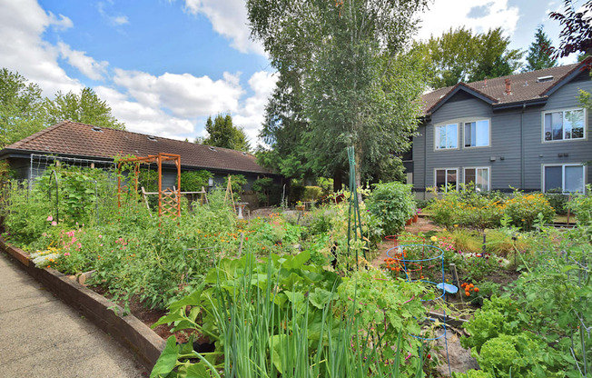 a garden with a house in the background