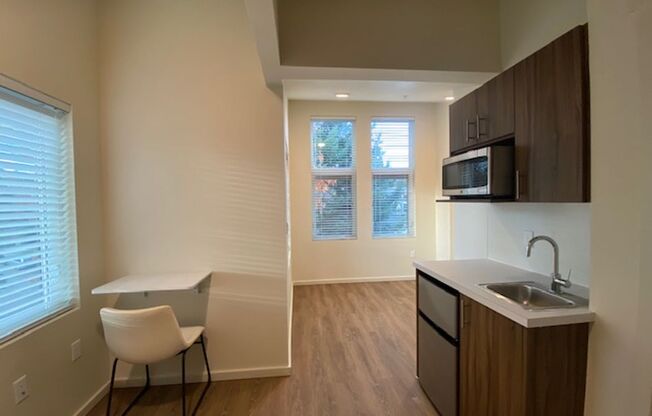 Studio, 1 bath, 175 sqft, $1,495, Unit 501
