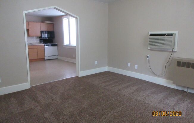 1 bed, 1 bath, 738 sqft, $725, Unit Apt 1