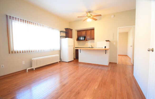1 bed, 1 bath, 550 sqft, $965, Unit 1917-07
