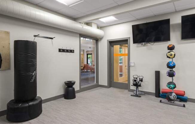 A gym room with a punching bag, exercise balls, and a television.