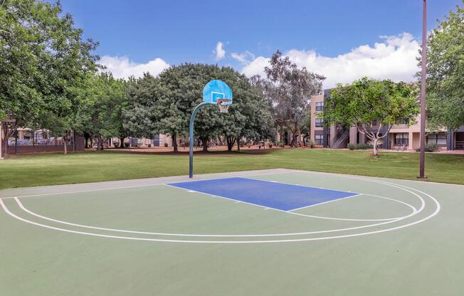 a close up of a basketball game in a park