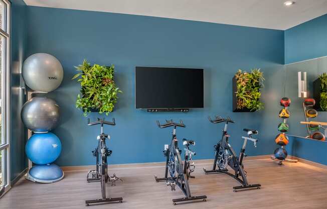 Spin Room showing 3 bikes and tv at The Flats at Ballantyne Apartments, North Carolina