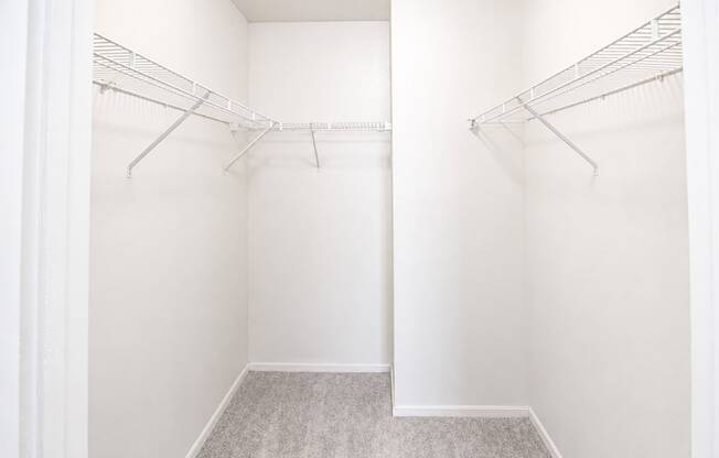 Empty white closet with shelves and carpeted floor.