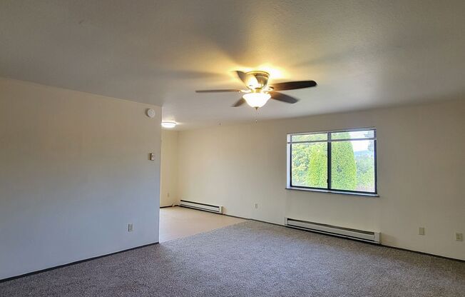 903 Charles St, Newberg