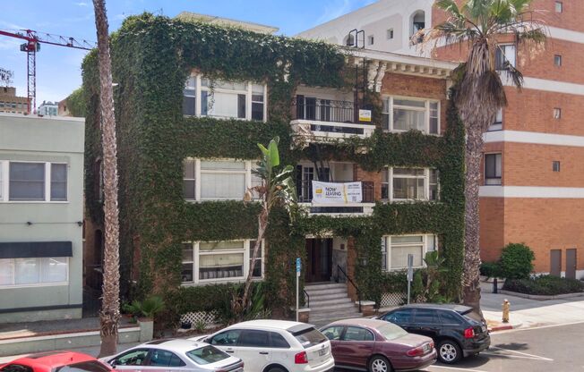 Studio, 1 bath, 354 sqft, $1,495, Unit 201
