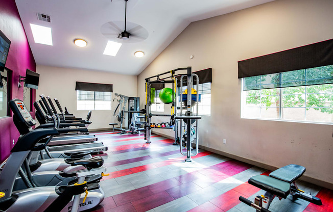 A gym with a variety of equipment including treadmills, weights, and a bench press.