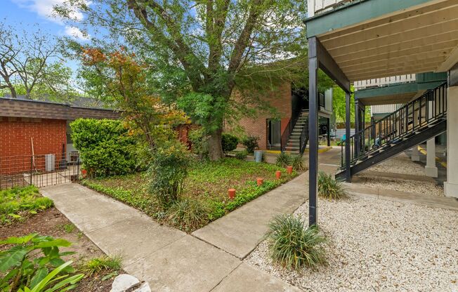 Colony