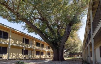 Partner-provided photo for $1100 unit