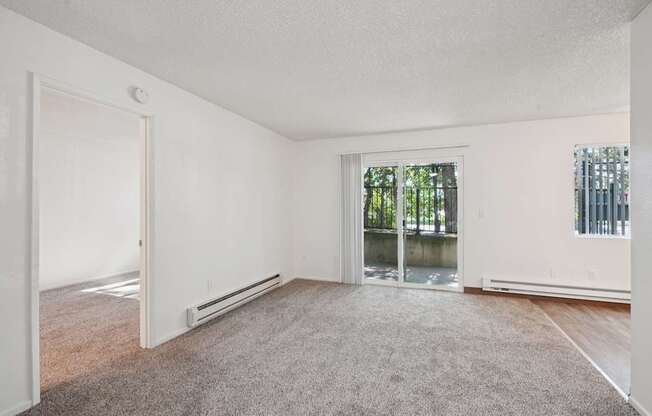 A room with a carpet floor and a sliding glass door.