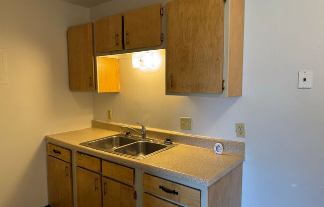 2 beds, 1 bath, 550 sqft, $725, Unit 1119-206