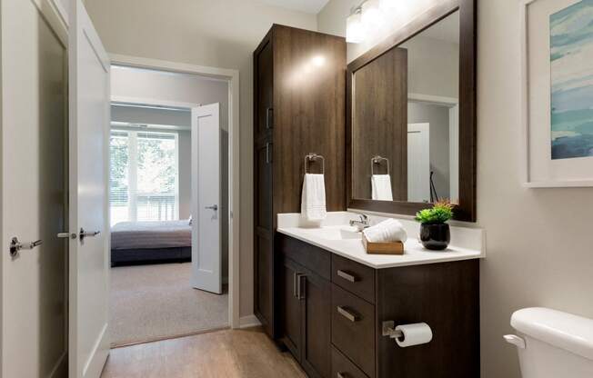 Master Bathroom Vanity at The McMillan Apartments in Shoreview, MN 55126
