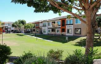 A tree in front of a building with a green lawn in front of it.