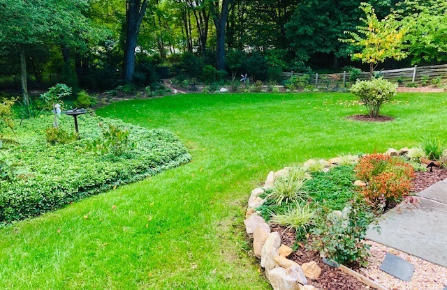 Updated and immaculate 4 bed/3.5 bath colonial on prime lot – walk to Robinson SS and GMU