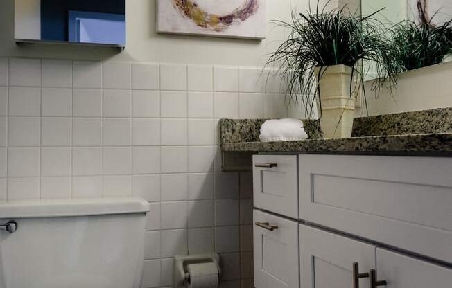 Bathroom Layout with decorations at Hampton Plaza Apartments in Towson, MD 21286