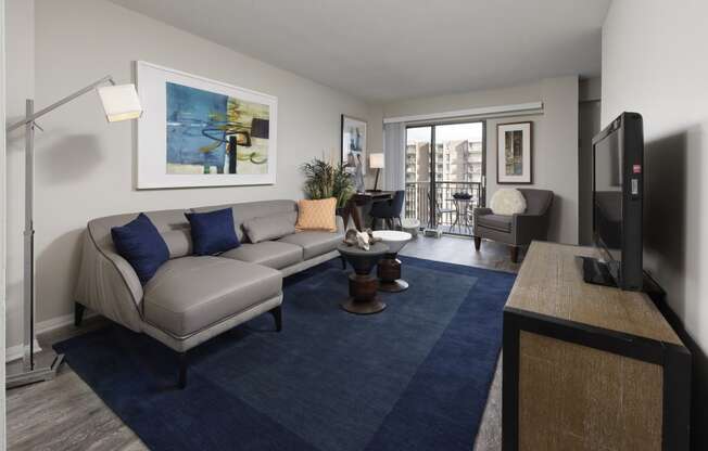 a living room with a gray couch and a blue rug