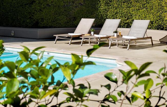 A pool surrounded by chairs and greenery.