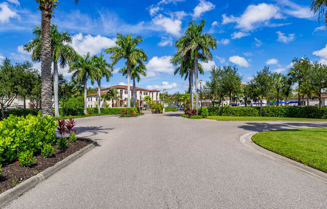A road with palm trees and a building in the background.