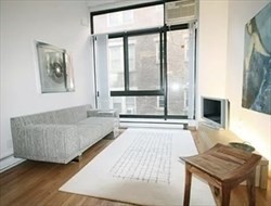 1 bed, 1 bath, 400 sqft, $2,700, Unit 303